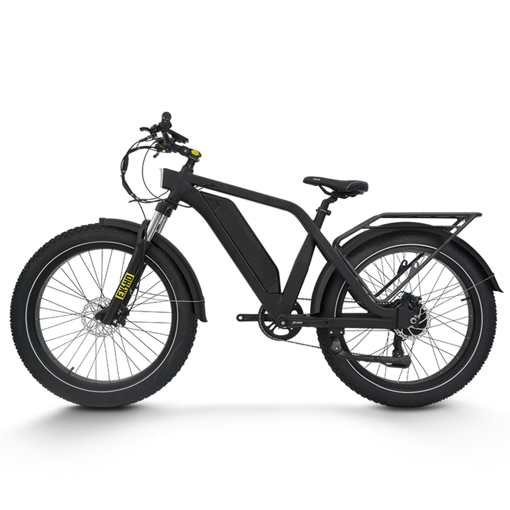 *성인용 전기 자전거 1500W 리어 허브 모터, 48 - 48V 1500W Rear Hub Motor With Battery 리뷰 및 가격