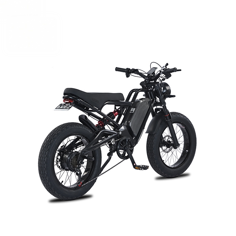 RRE QQA 13Ah 리튬 배터리, 48V, 750W - 48V 1500W Rear Hub Motor With Battery 리뷰 및 가격